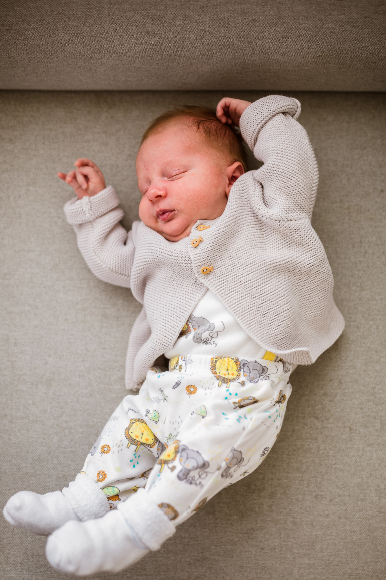 Export x3 5D4 6799 Familienfotoshooting 2019 Hefti